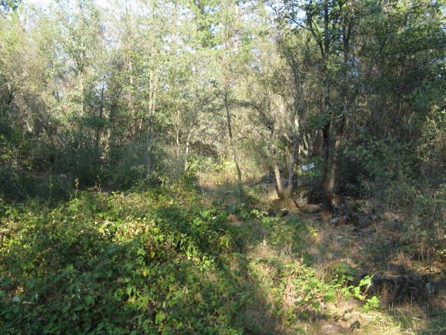 9106 Manzanita Ln
