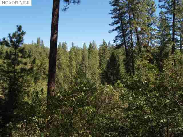 9999 Bitney Springs Rd