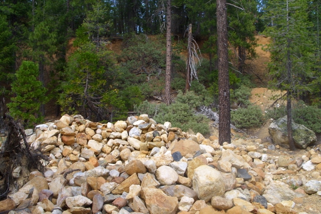 11836 Diamond Creek Road