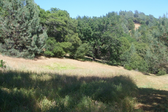 20143 Applejack Drive