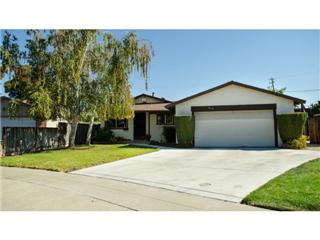 950 Thelma Way