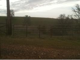 202 Blazeford Gulch