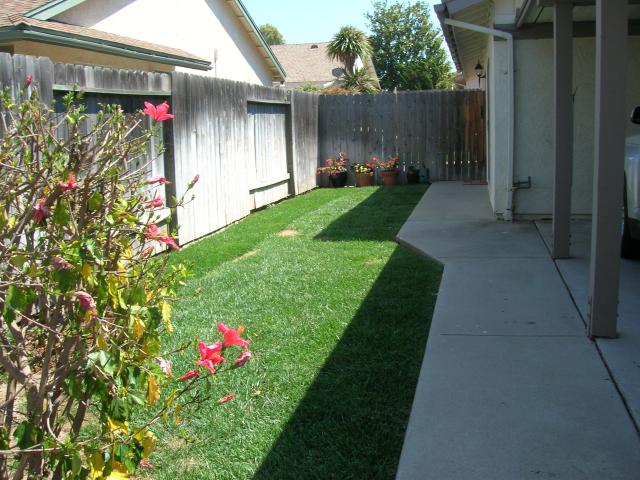 136 Tree Fern Court