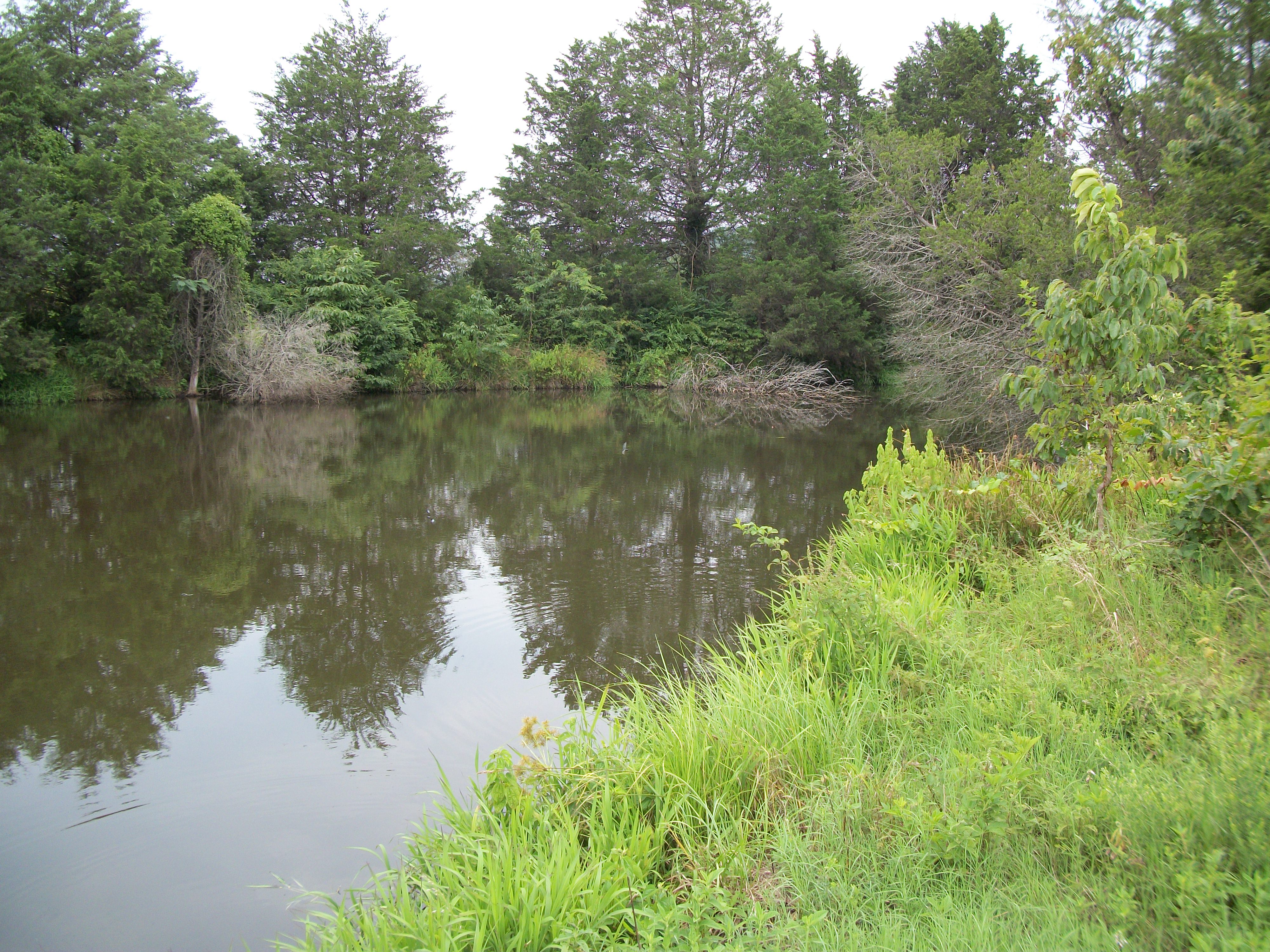 27 acres M/L County Road 3436