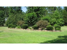 361 Crossgate Dr.