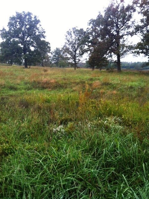 Lot 1 Oak Valley Lane