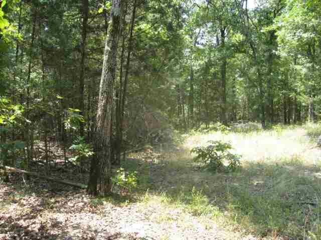 Lot 36 Cr 1434