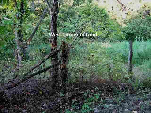 1095 County Road 1193
