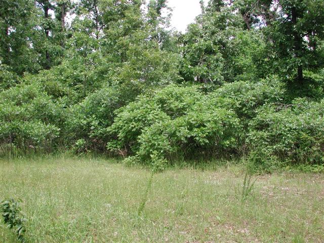 Lot #7, Big Oak Estates