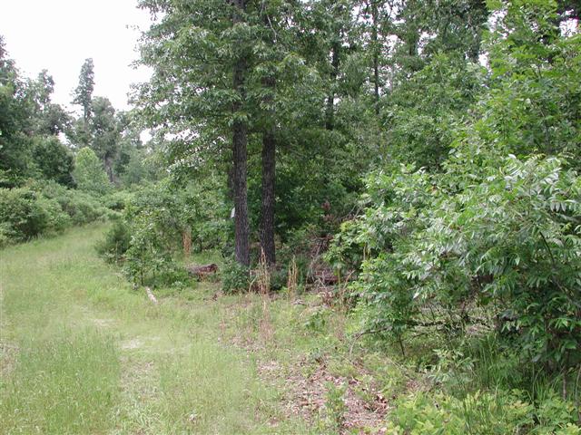 Lot #5 Big Oak Estates