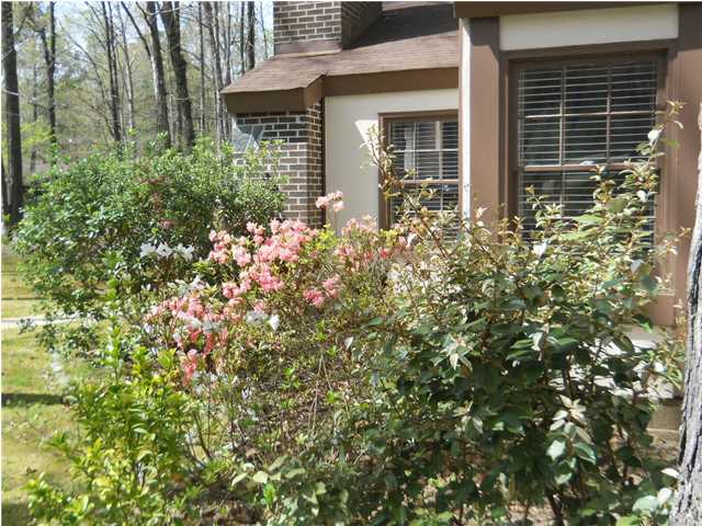 122 Pauline Circle