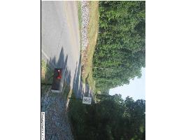 2505 Bluff City Road