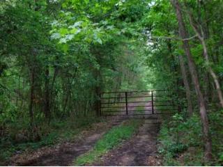 61.59 Acres MC 28
