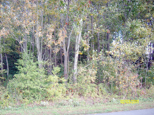 00 HOPKINS CEMETERY ROAD