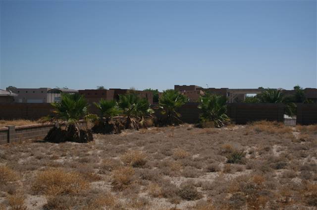 11701 Gila St