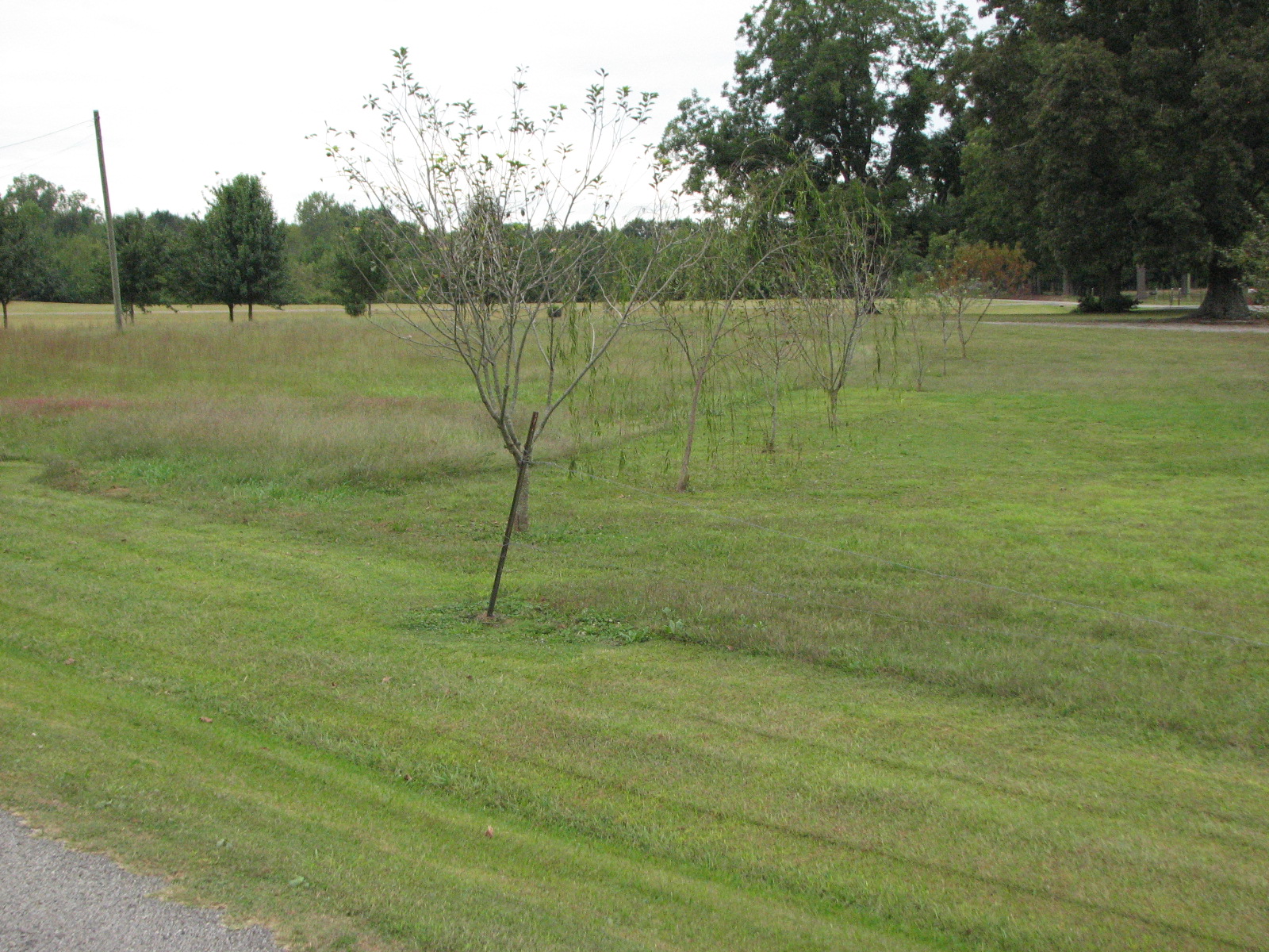 55 Bowman Road