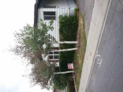 339 Excalibur Street