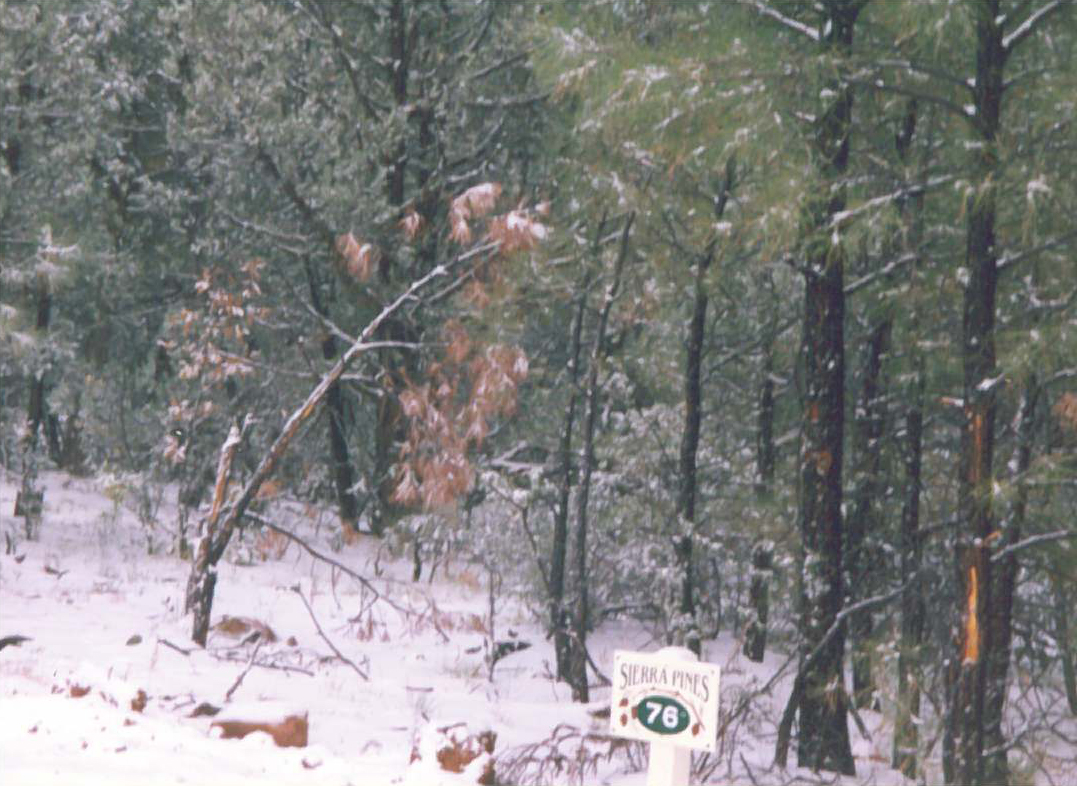 APN 210-30-0230