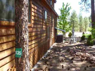 3841 S. Horshoe Loop