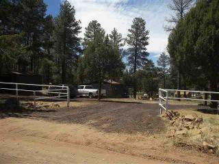 1052 Pine Ridge Dr