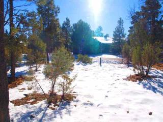 4190 W Sugar Pine Loop