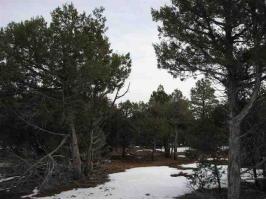 Lot 23 Wilson Road
