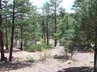 Lot 9 Pine Oaks
