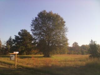 Lot 7 Block 1 Country Estate Phase 1