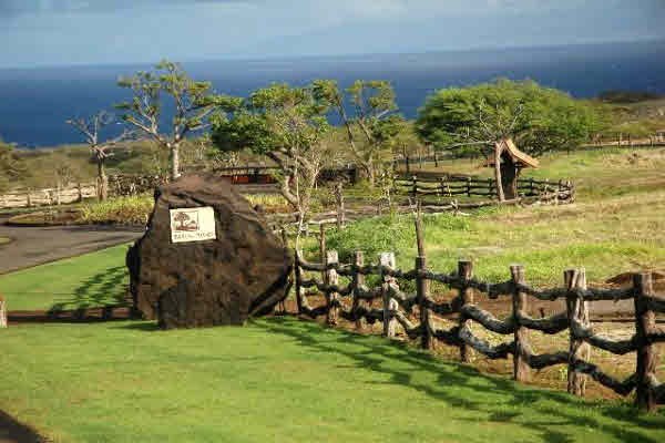 56-4-A Pualani Road