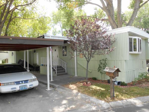 42 Shady Tree Lane