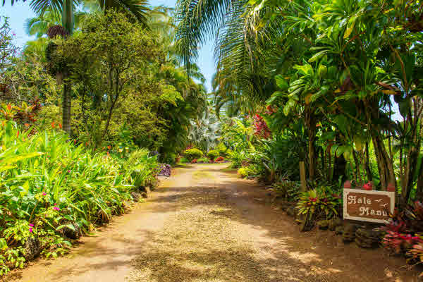 4551 KAHILIHOLO RD