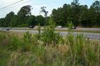 3 +/- ACRES N. US HIGHWAY 231