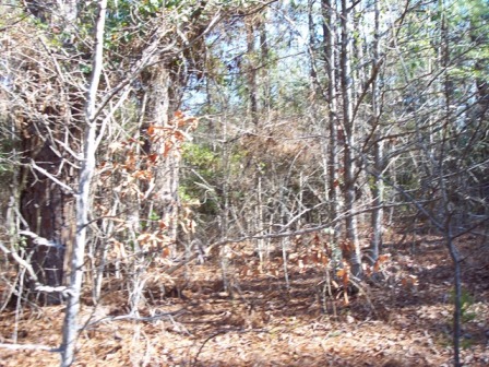 Ouachita 347-348