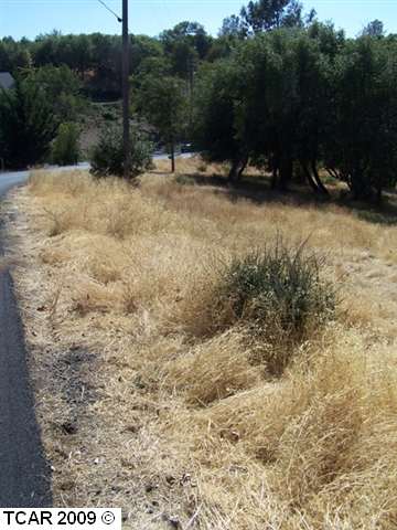 LOT 47 CRESTRIDGE Ave
