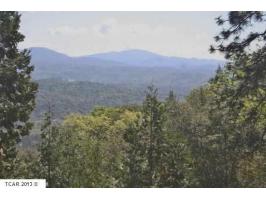 22500 Woodview Court