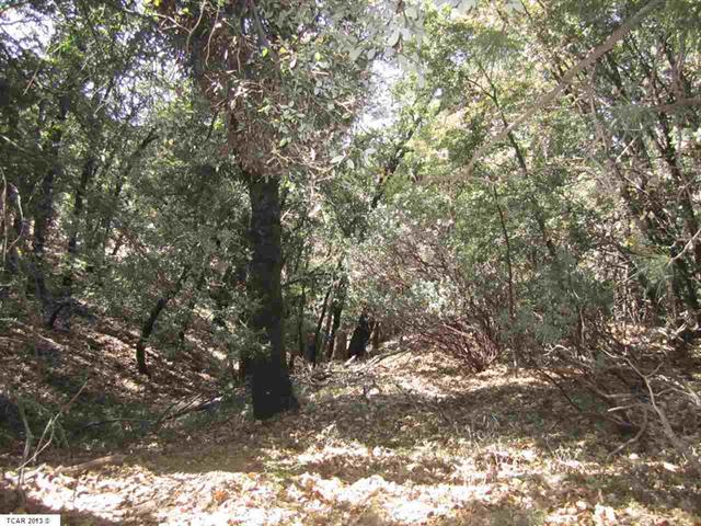 1.39 Acres Pack Trail