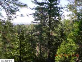 LOT #589 Caddo Cir.080-350-01