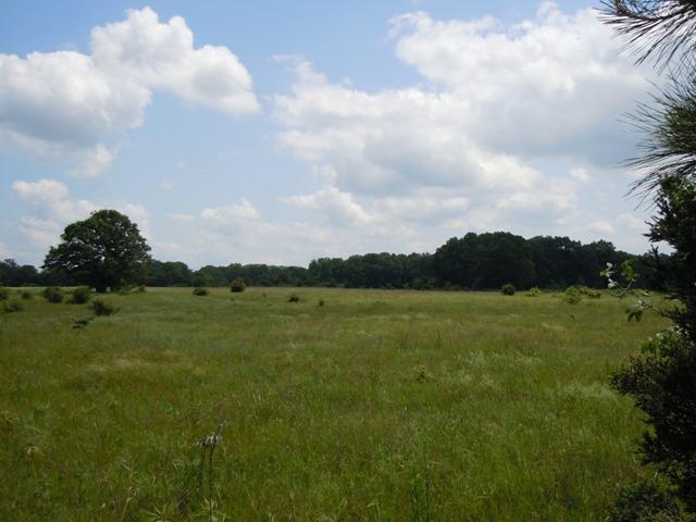 Tract 5 Skunk Hollow