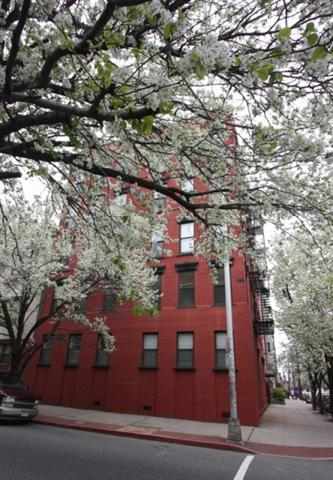 100 CLINTON ST