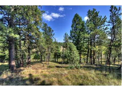 465 Bluebird Lane
