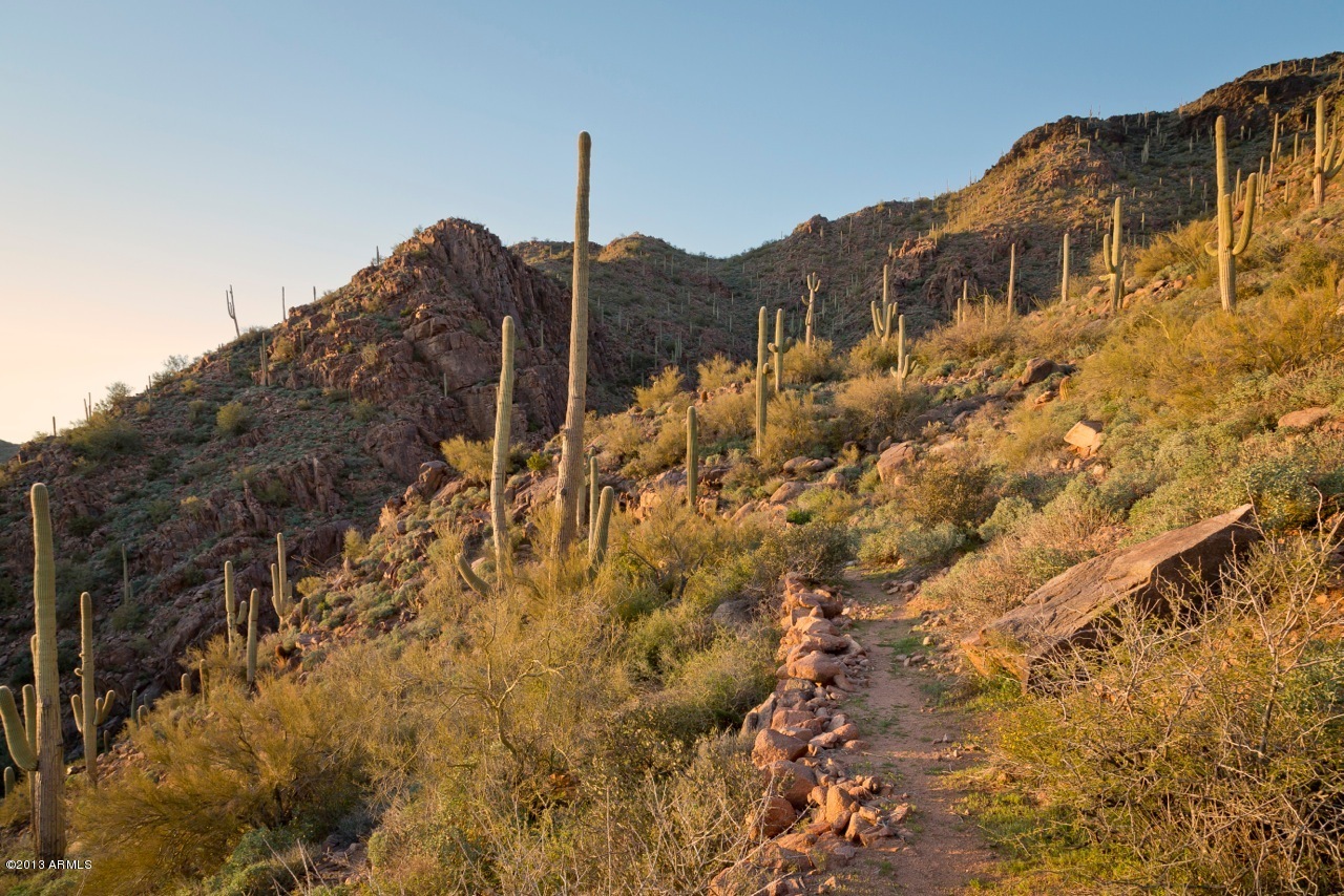 43xxx N Saguaro Forest Drive