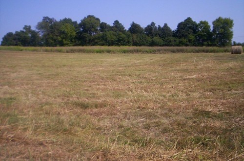 Lot 39 Green Creek Drive