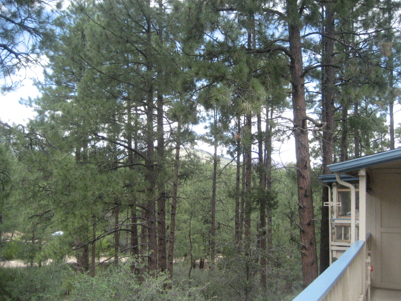 315 INDIAN HILL 315