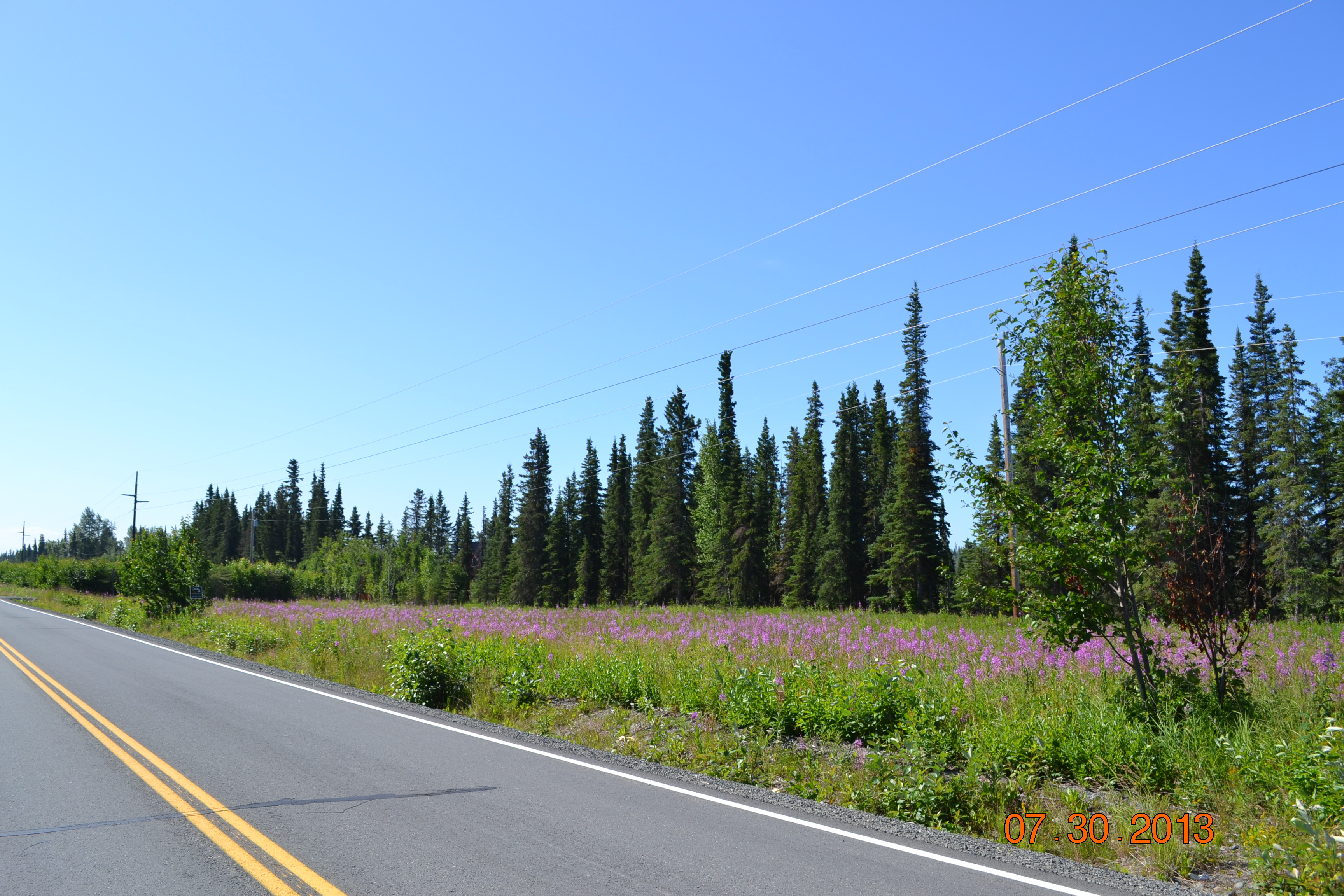 L2-4 Crooked Creek Road