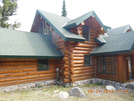 343 Low Dog Rd