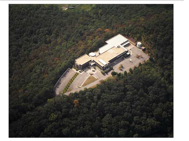 475 REED RD