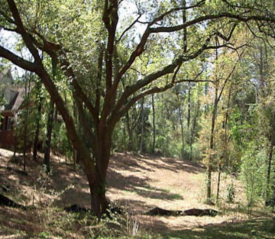 0 Country Woods Drive