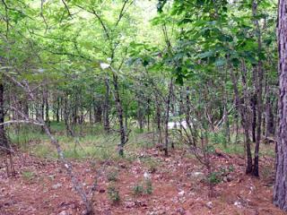 6/2 Ladera31 Altiplano Cr