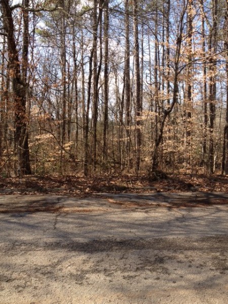 Congress Drive Lot 30