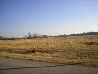 Sewell Road Lot 12